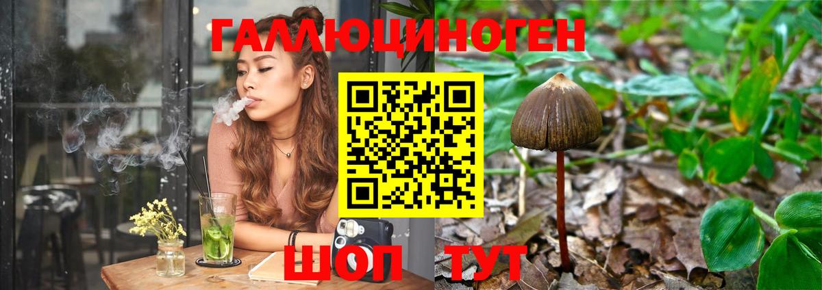 Псилоцибиновые грибы Psilocybe  Вход с VPN  как найти наркотики  Альметьевск 
